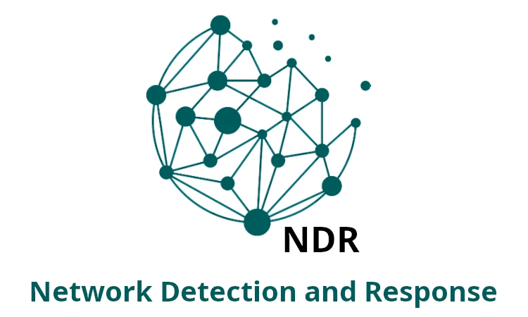 Network detection and response service
